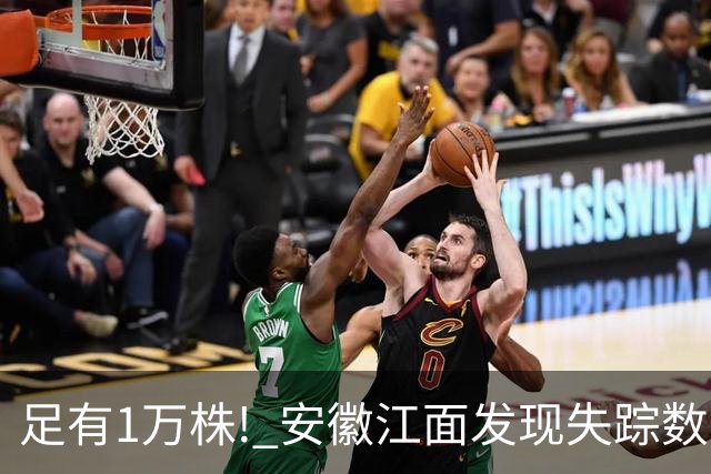 足有1万株! 安徽江面发现失踪数十年的神秘水草, 竟是世界级濒危物种